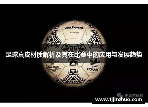 足球真皮材质解析及其在比赛中的应用与发展趋势