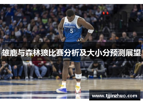 雄鹿与森林狼比赛分析及大小分预测展望